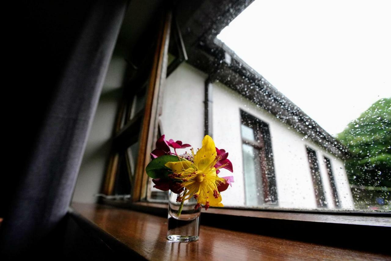 Abbey View Bed & Breakfast Galway Ngoại thất bức ảnh
