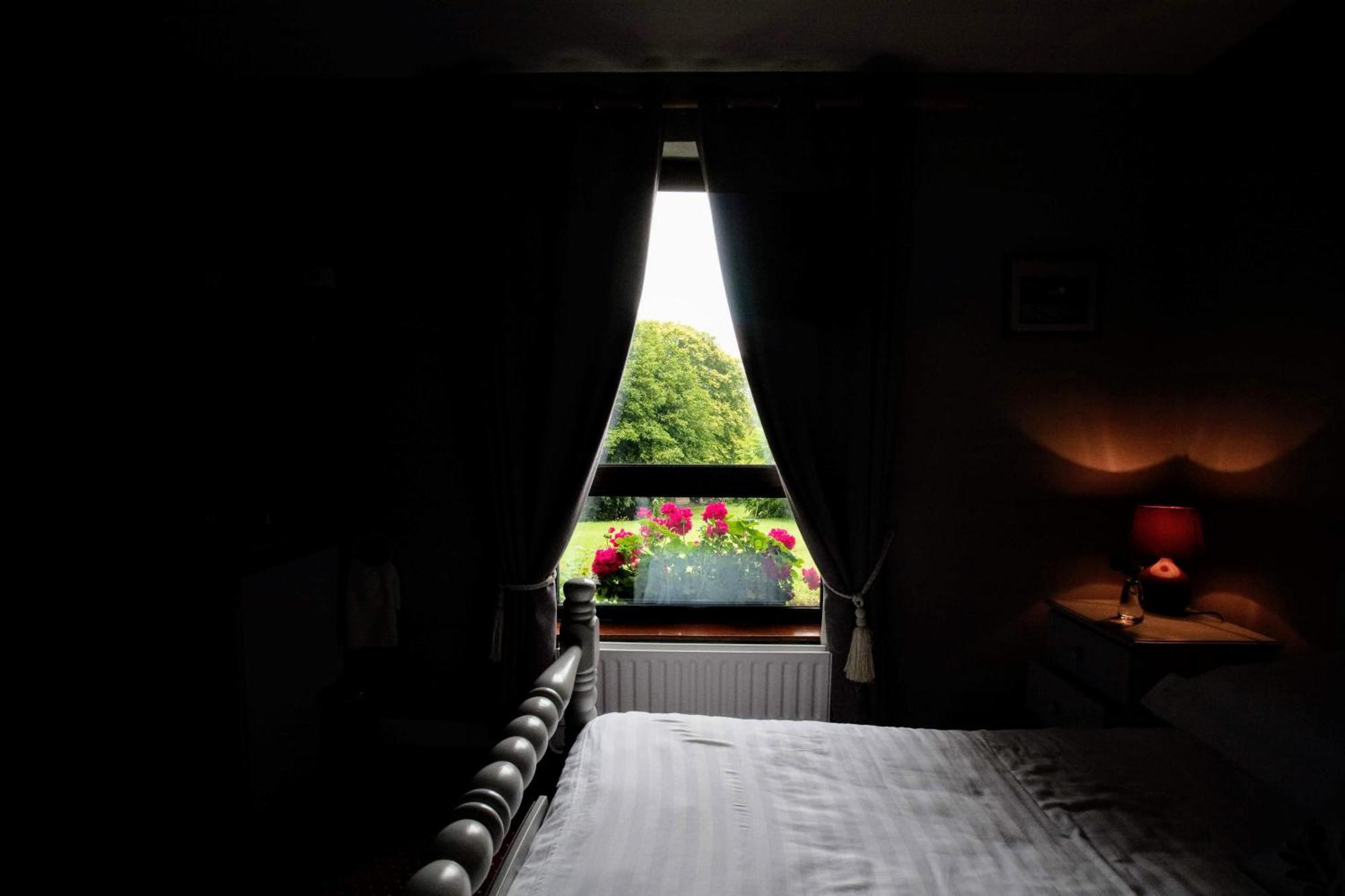 Abbey View Bed & Breakfast Galway Ngoại thất bức ảnh