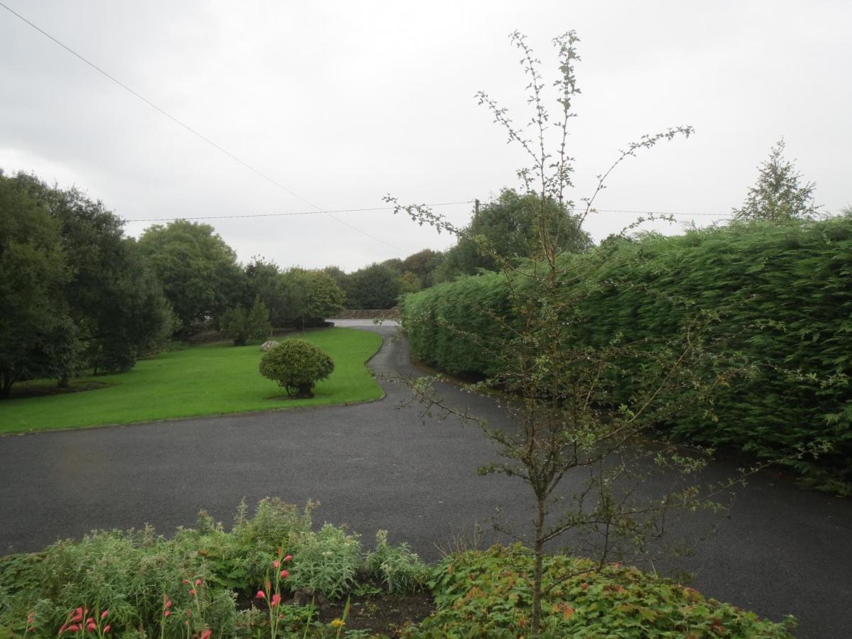 Abbey View Bed & Breakfast Galway Ngoại thất bức ảnh